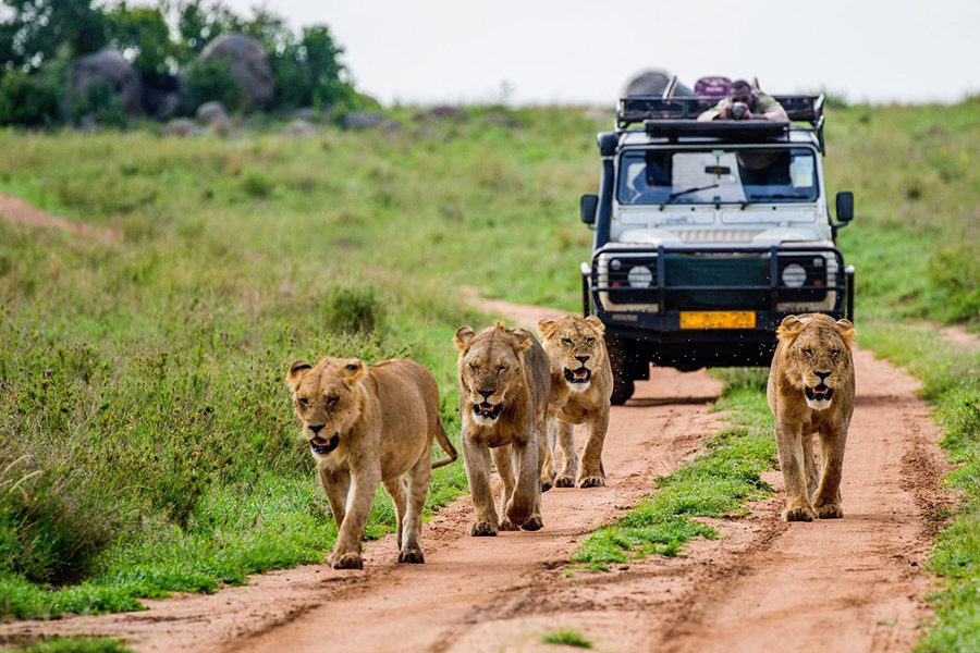 Kenya 2