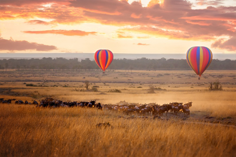 Kenya 3