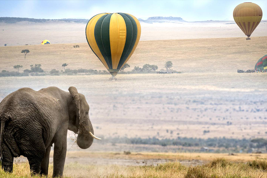 Kenya 4