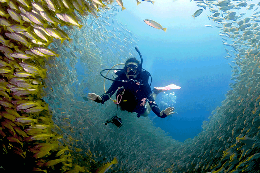 phi-phi-island-scuba-diving
